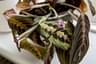 How to care for a Maranta Leuconora (Prayer plant)
