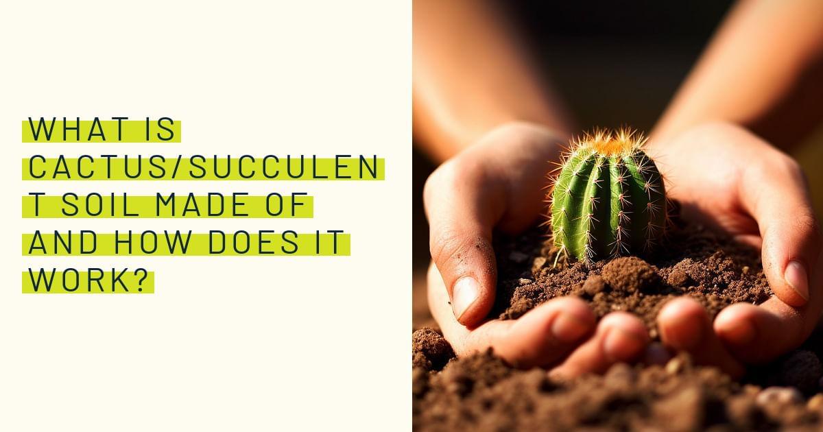 What is cactus/succulent soil made of and how does it work?