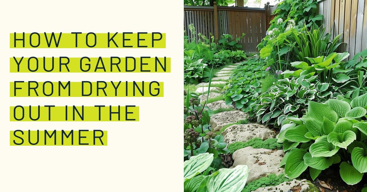 How to keep your garden from drying out in the summer