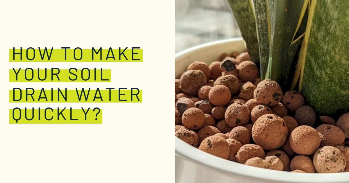 How to make your soil drain water quickly?