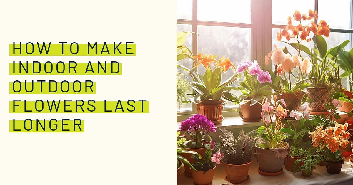 How to Make Flowers Last Longer