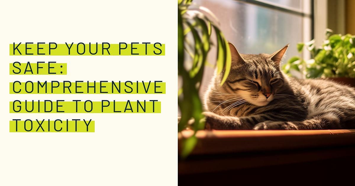 Keep Your Pets Safe: Comprehensive Guide to Plant Toxicity