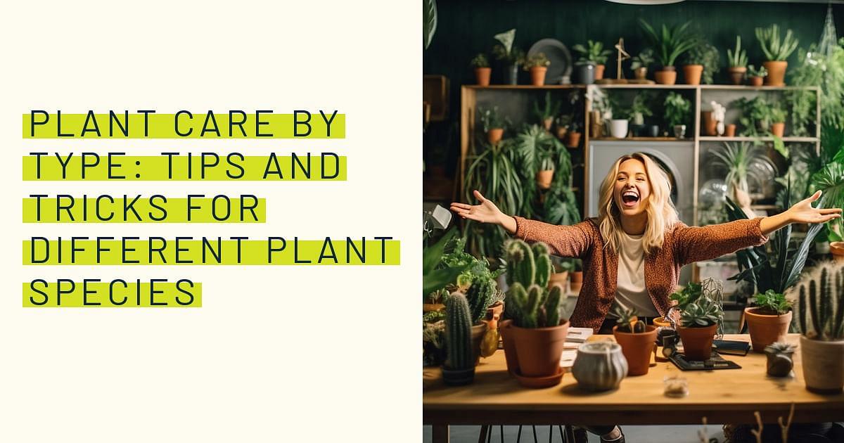 Plant Care by Type: Tips and Tricks for Different Plant Species