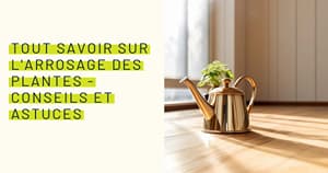 Adoucisseur D'eau Raindrop Dr. NEU Pour L'arrosage Des Plantes - 500 Ml, Enzymatique Et Naturel - Détartre Et Réduit La Dureté De L'eau Du Robinet, Idéal Pour Plantes Sensibles Au Calcaire