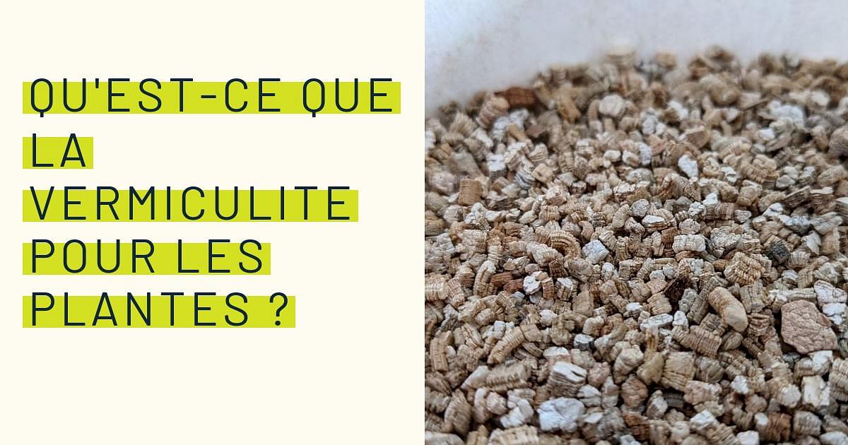 La vermiculite c'est quoi ?  Avantages, utilisations, conseils,.. 