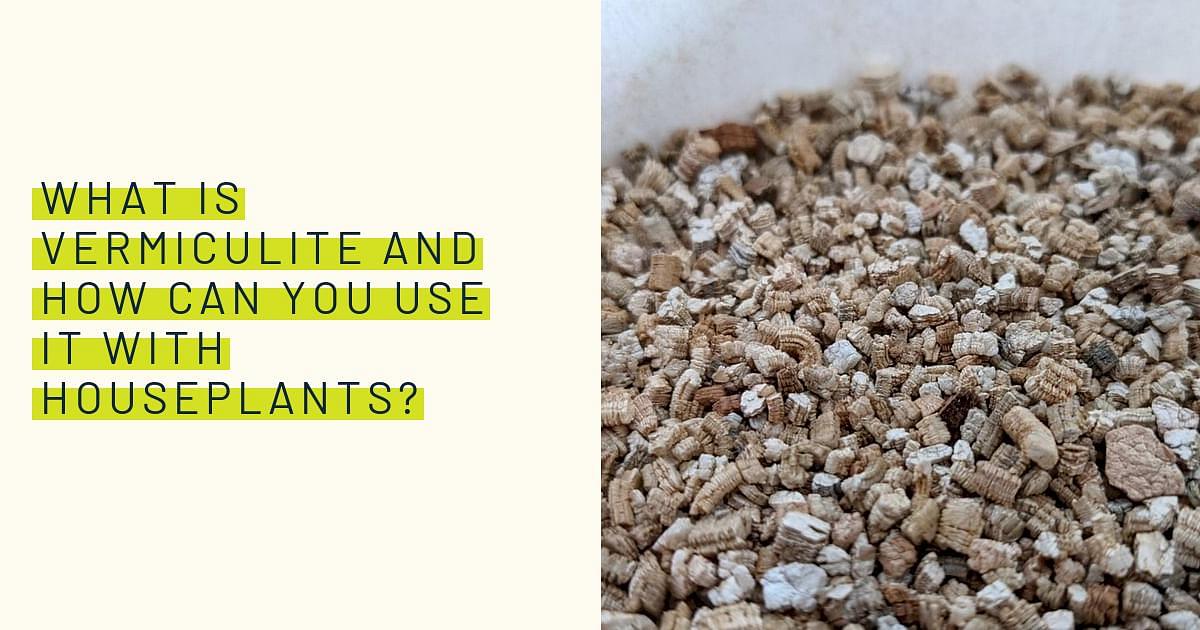 Vermiculite vs. Perlite: What's the Difference?